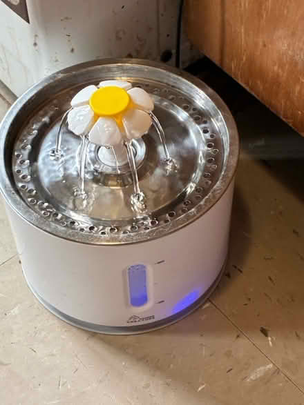 Photo of free Pet Water Fountain (1711 Randall Avenue, Bronx) #1