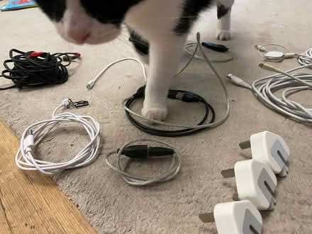 Photo of free Cables mixed bag (Oxford) #2
