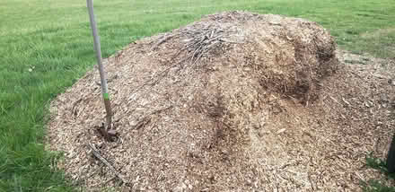 Photo of free Mulch - Wood Chips (Front Royal) #1