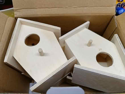 Photo of free Baker Ross birdhouse craft (GU2 Stoughton) #2