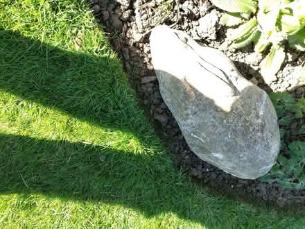 Photo of free Old concrete Rabbit (California DE22) #2