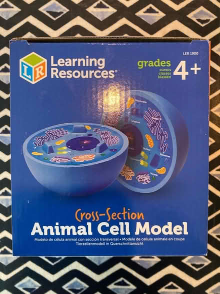 Photo of free Animal cell model (Bath BA2) #3