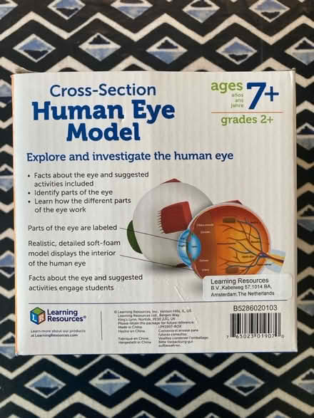 Photo of free Model of the human eye (Bath BA2) #4