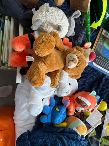Photo of free Lucky dip bag of teddy bears (SW4) #1