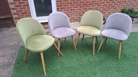 Photo of free Dining Chairs (Whiteley PO15) #1