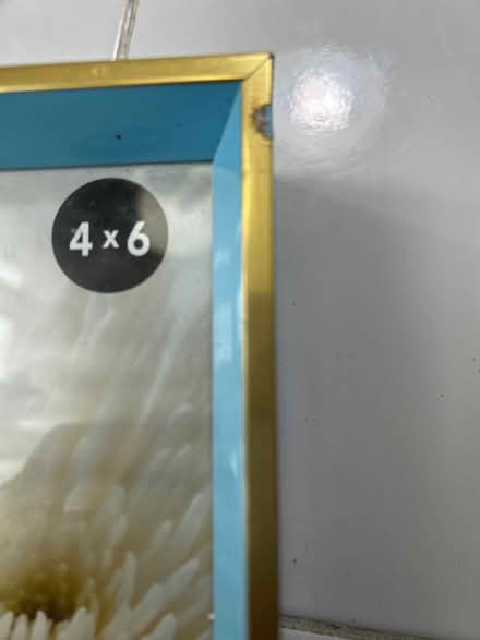 Photo of free 4 small 4x6 picture frames (10011 (17th & 9th)) #3