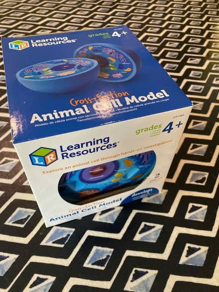 Photo of free Animal cell model (Bath BA2) #1