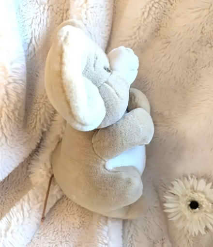 Photo of free Vintage 90 Large plush beige Cuddly toy Mouse Birthdays Bur (Bingham NG13) #4