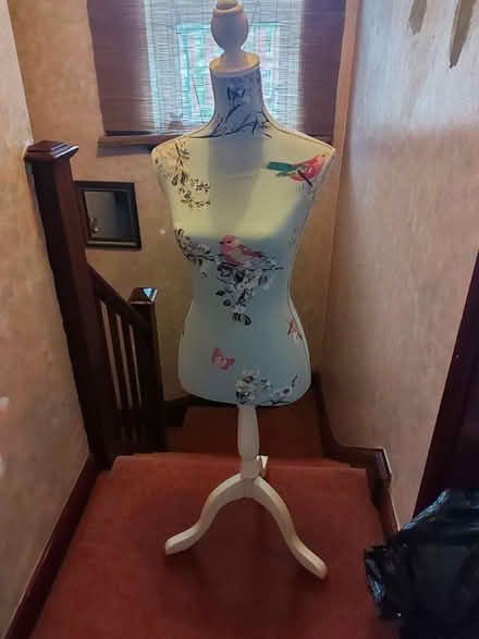 Photo of free Mannequin (HR4) #2