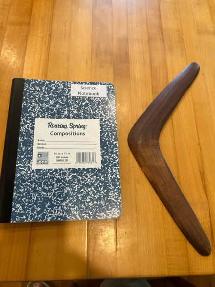 Photo of free Boomerang (Huron Ave. Cambridge) #2