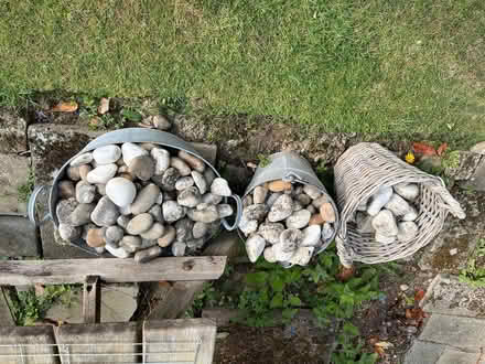 Photo of free Lots of assorted size pebbles (Spring Park CR0) #1