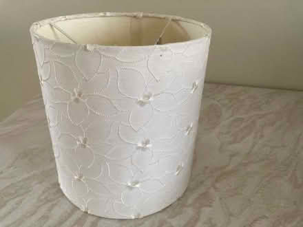 Photo of free Lampshade (Pooley Green TW20) #1