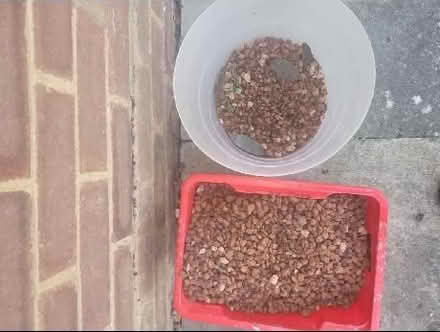 Photo of free Garden stones (Westmill SG5) #1