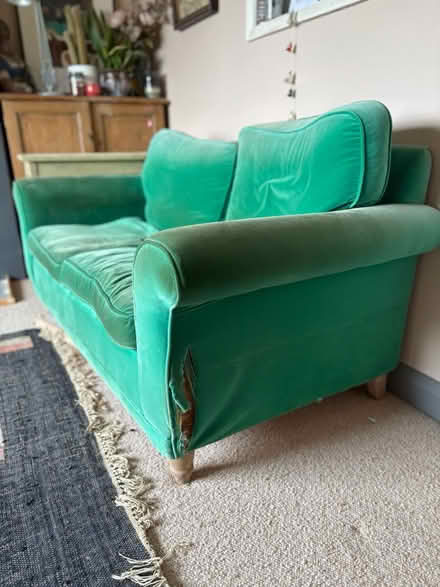 Photo of free Small green sofa (Lewes nevill) #2
