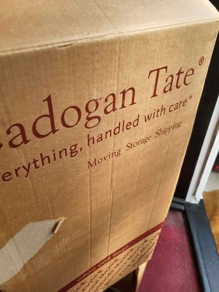 Photo of free Moving box for hanging garments (Clive Vale TN35) #2