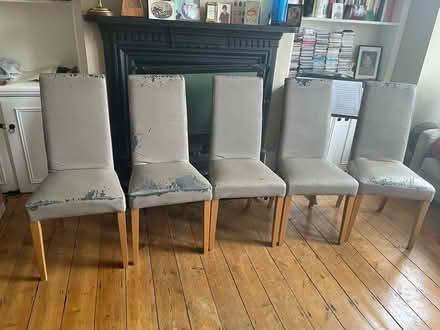 Photo of free 5 John Lewis dining chairs (London, Alexandra Palace N22) #1