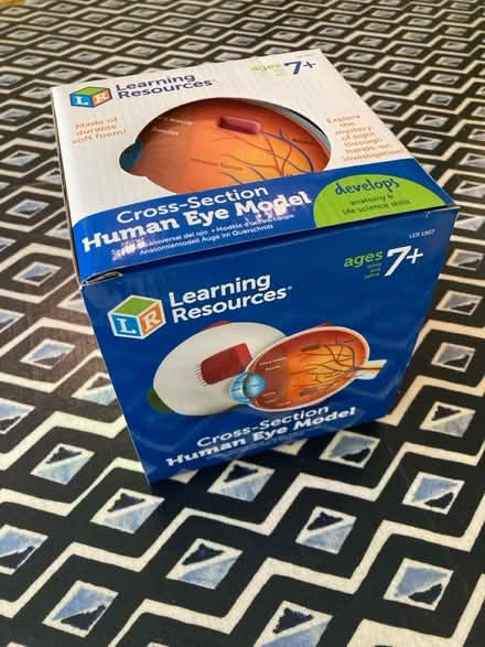 Photo of free Model of the human eye (Bath BA2) #1