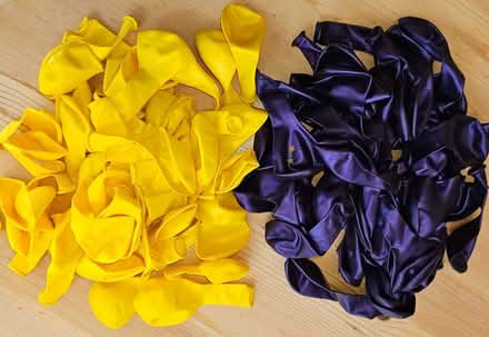Photo of free Balloons - two colours (Henleaze BS9) #1