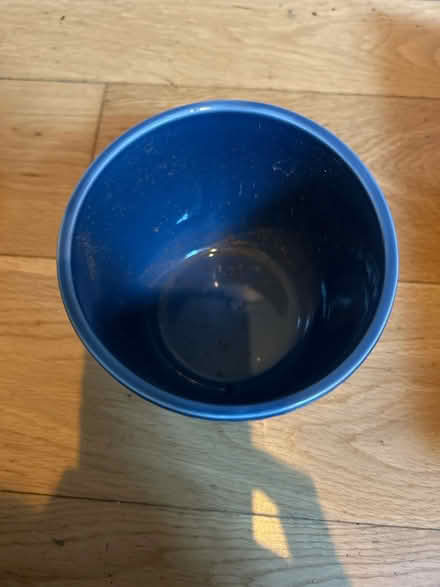 Photo of free Plant pot (Tuckton. BH6) #2