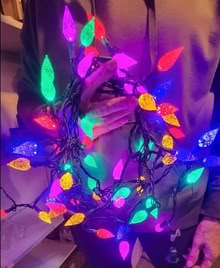 Photo of free Christmas lights (North side of Elmhurst) #1