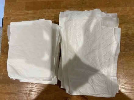 Photo of free Puppy toilet training pads (Tuckton. BH6) #1