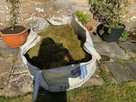 Photo of free Moss (Warminster BA12) #1