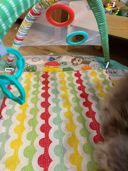 Photo of free Playmat, toys and some clothes (Chiltern District) #2