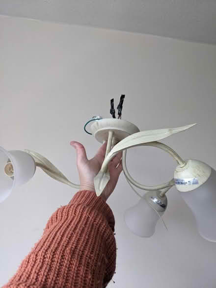 Photo of free Ceiling light (Lewes - near the prison) #1