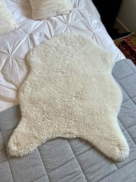 Photo of free Rug (Longford GL2) #1