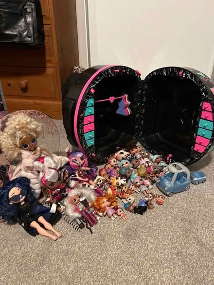 Photo of free lol dolls and storage case (Rackheath) #1
