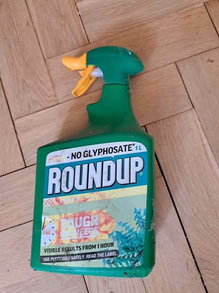 Photo of free plant spray (Woodingdean BN2) #2