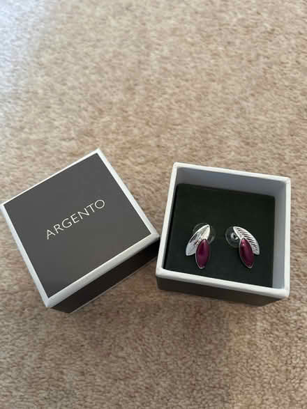 Photo of free Earrings (Pencaitland) #1