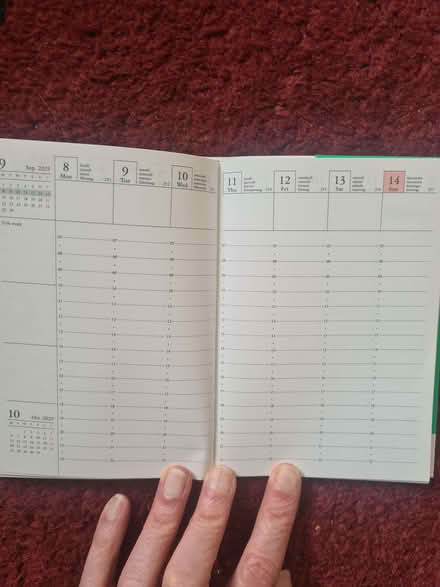 Photo of free 2025 Diary (Lewes BN7) #3