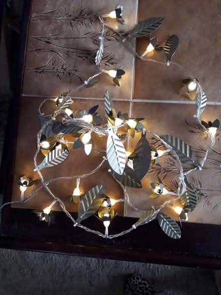 Photo of free String of lights (Princes Risborough HP27) #1