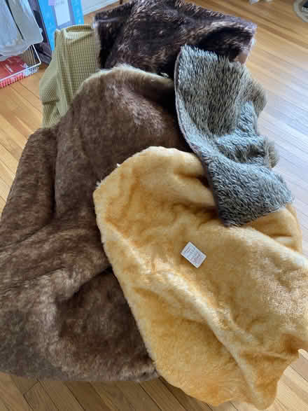 Photo of free Fabric for Teddies, etc (Near NCSU) #1