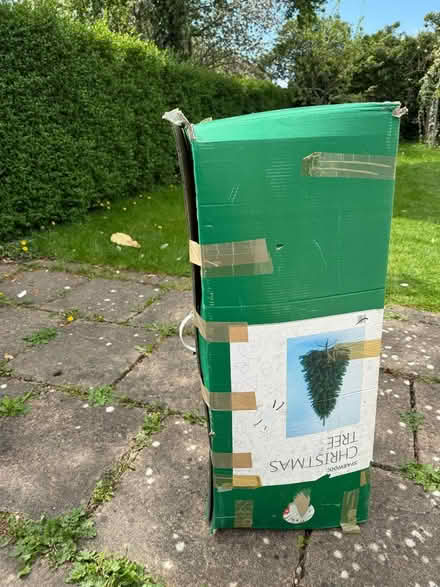 Photo of free 6ft Christmas Tree (Henbury) #2