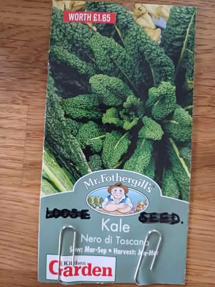 Photo of free Kale Seeds (Chichester PO19) #2