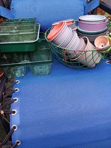 Photo of free Small plants pots, seed trays,and hanging basket. (Soho WC2H) #1