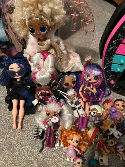 Photo of free lol dolls and storage case (Rackheath) #3