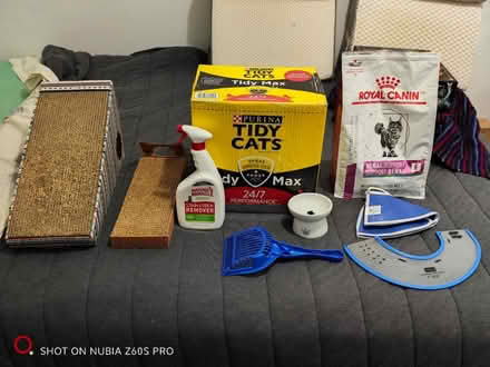 Photo of free Various Cat Stuff (Washington Heights) #1
