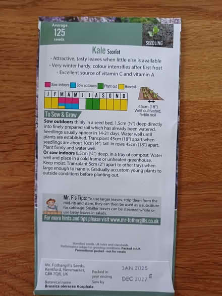 Photo of free Kale seeds brand new (Chichester PO19) #2