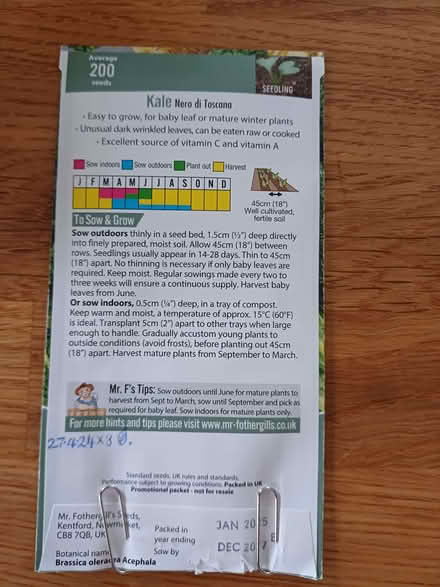 Photo of free Kale Seeds (Chichester PO19) #1
