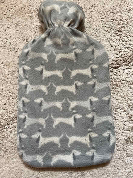 Photo of free Hot water bottle (Freehold LA1) #1