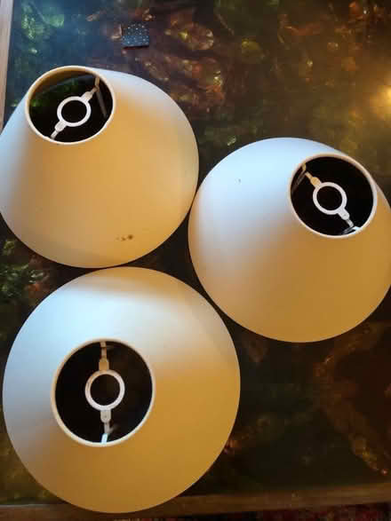 Photo of free Beige lamp shades (Combe Down) #2
