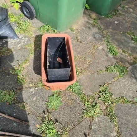 Photo of free 2 planters (Harbourland ME14) #1