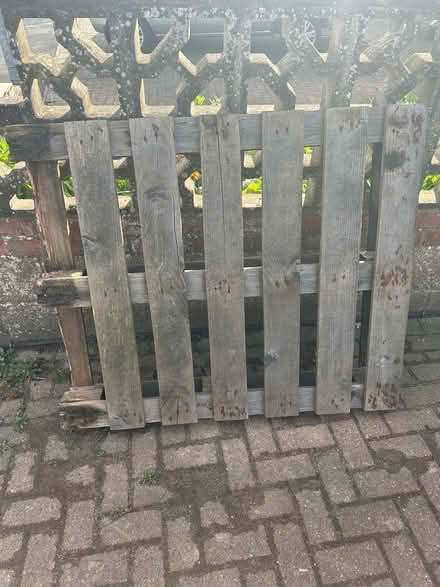 Photo of free Wood pallet (Heartsease NR7) #1
