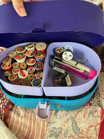 Photo of free Caboodles (Hallandale Beach Blvd and US1) #2