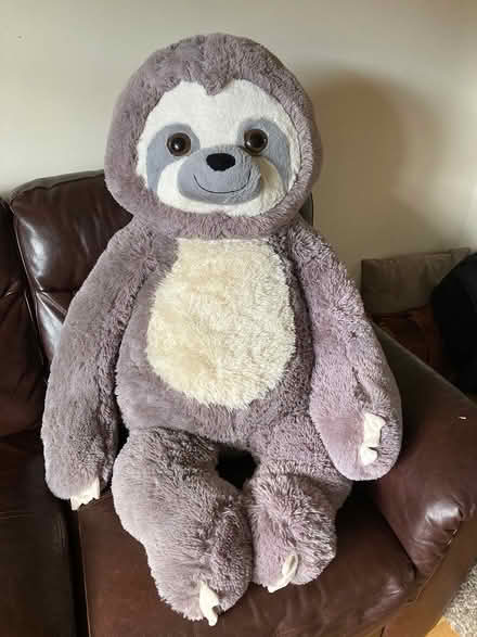 Photo of free Sloth cuddly toy (Alvechurch B48) #1