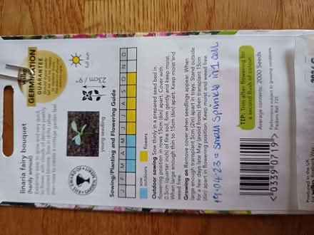 Photo of free Linaria saved seeds. (Chichester PO19) #2