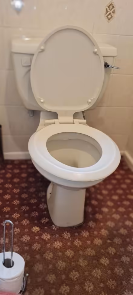Photo of free Complete toilet (West Bridgford NG2) #2